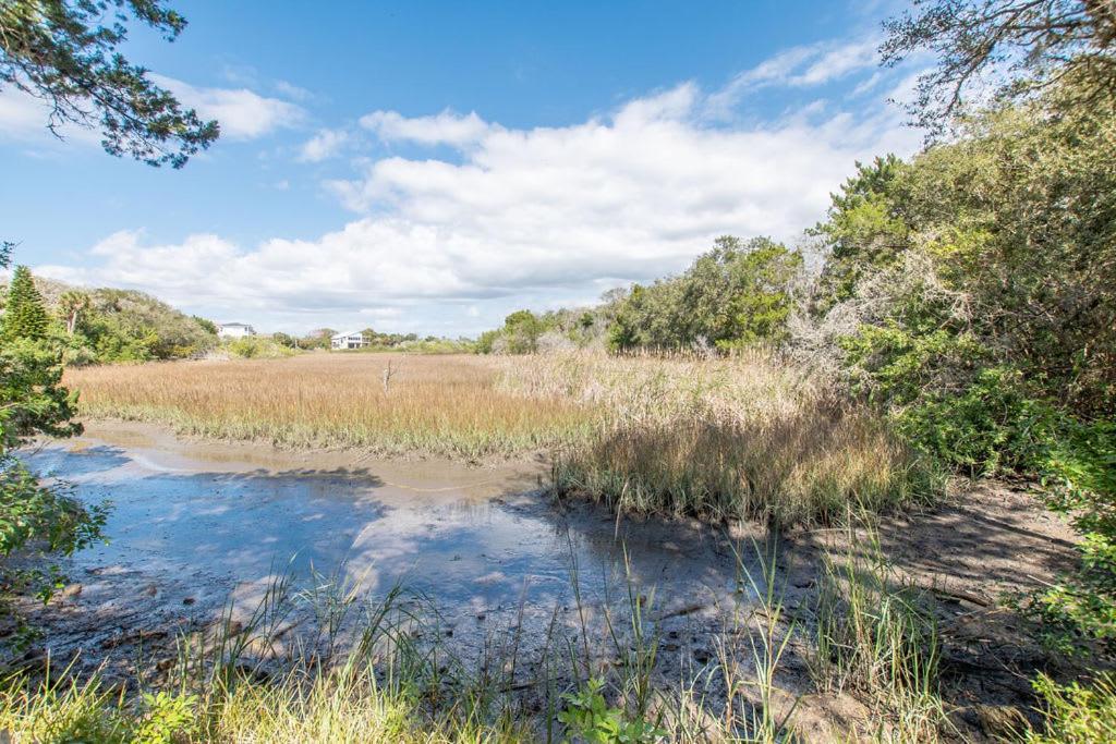 Marsh Front Birders Paradise Close To Beaches And Downtown Сент Августин Екстериор снимка